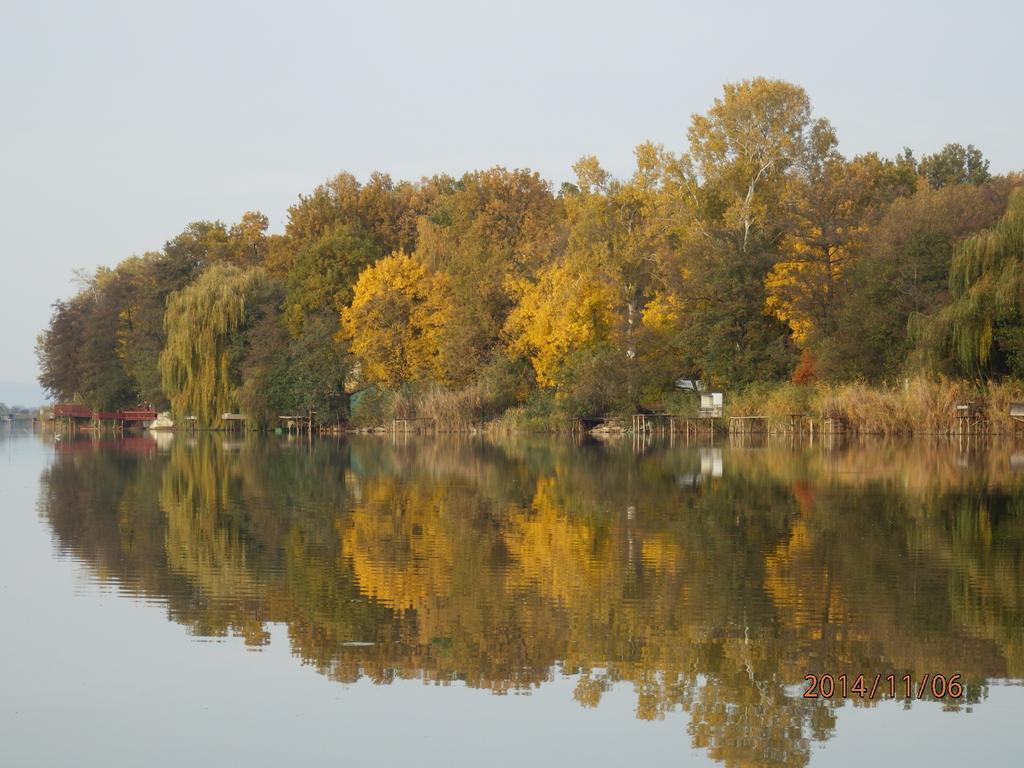 Guesthouse Ilona Velky Kamenec Esterno foto